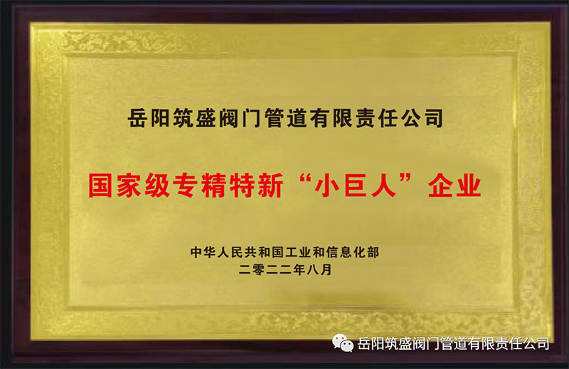 热烈祝贺我公司荣获国家级专精特新“小巨人”企业