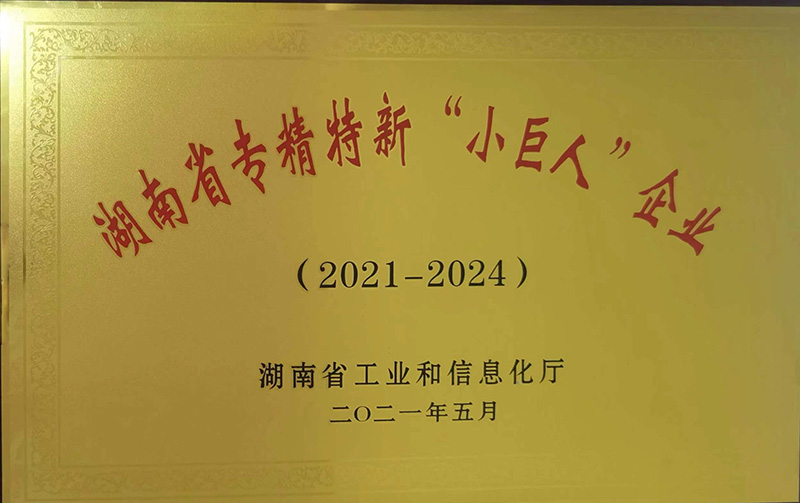 湖南省专精特新“小巨人”企业