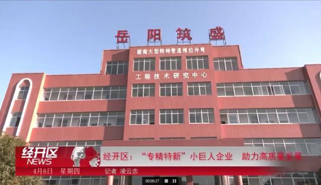 岳阳经开区：“专精特新”小巨人企业 助力高质量发展